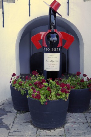 Le vin local TIO PEPE