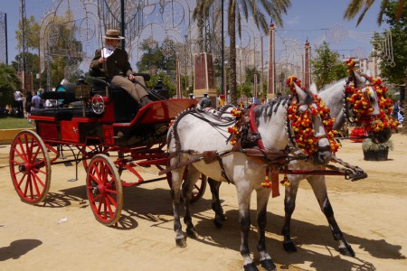 à la féria de JEREZ